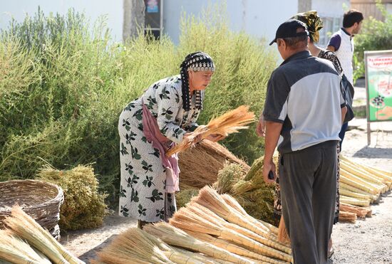 Страны мира. Таджикистан