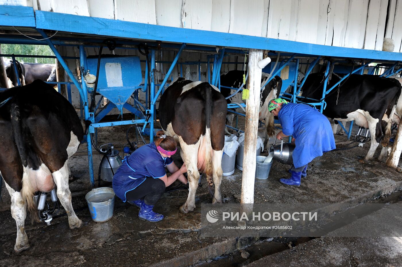 Полевая ферма в Челябинской области