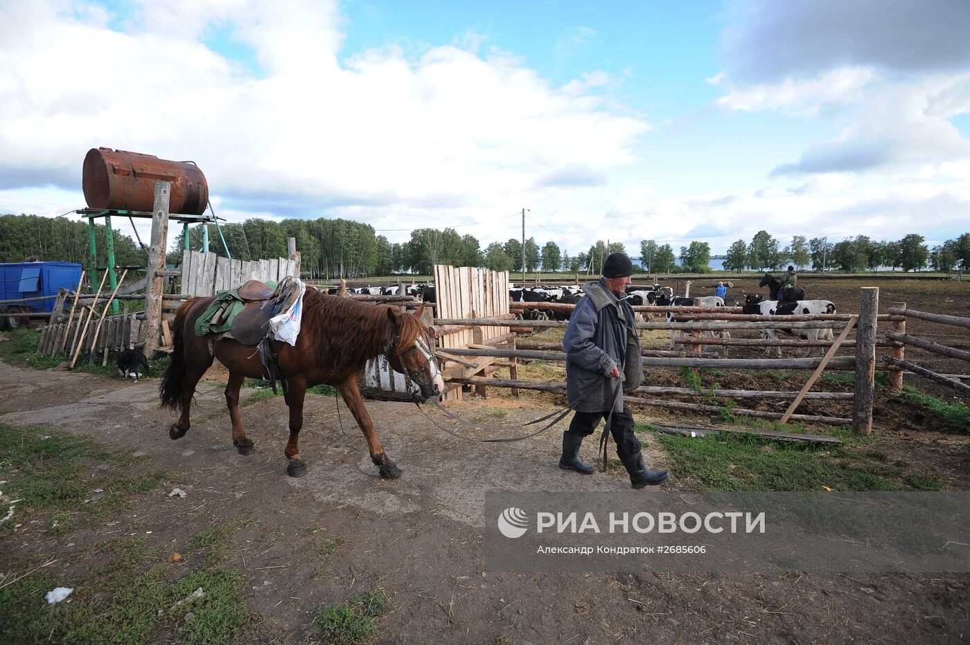 Полевая ферма в Челябинской области