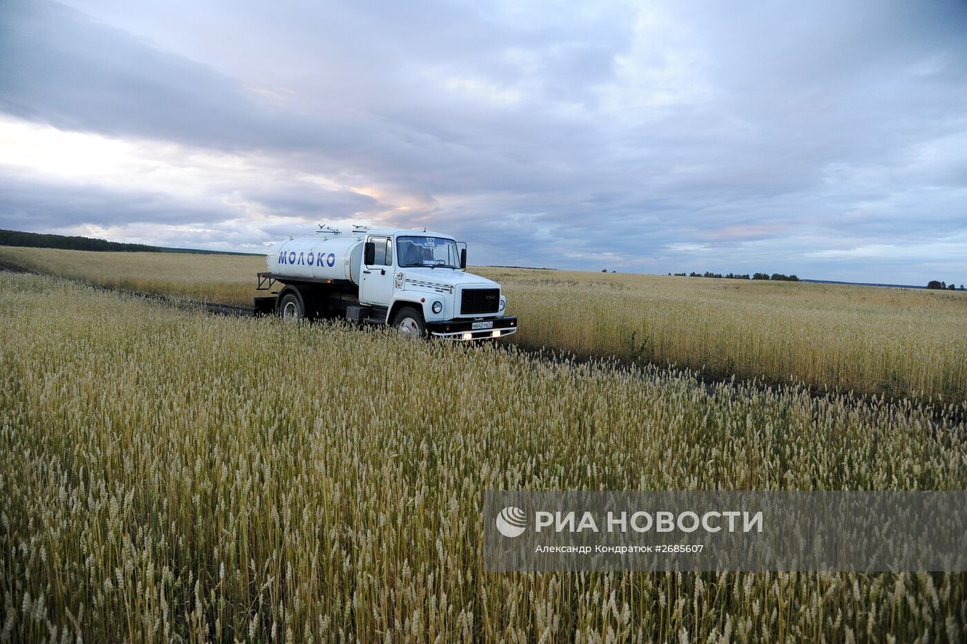 Полевая ферма в Челябинской области
