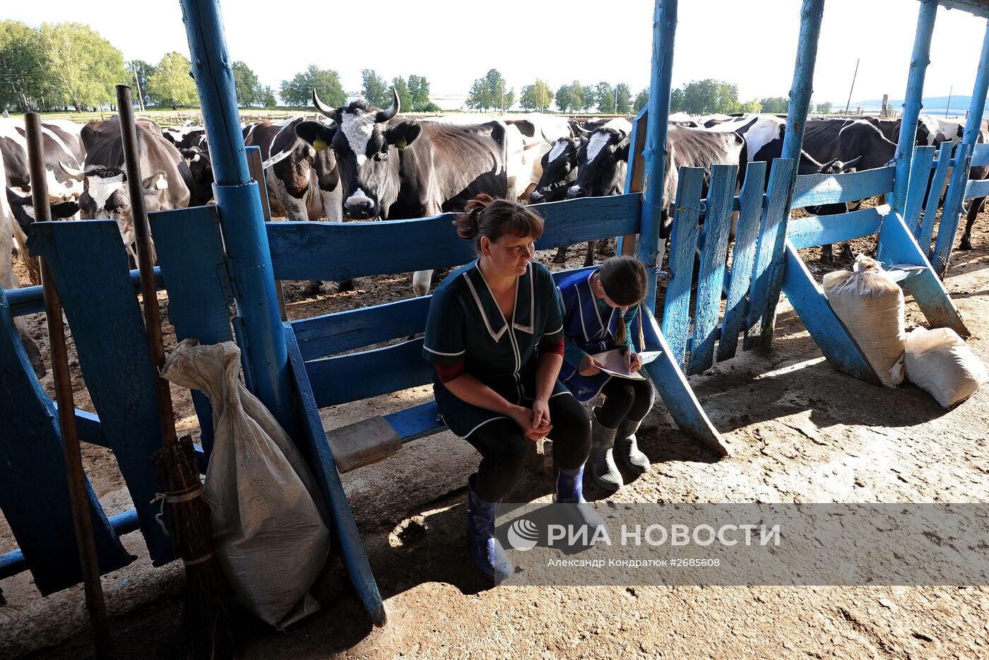 Полевая ферма в Челябинской области