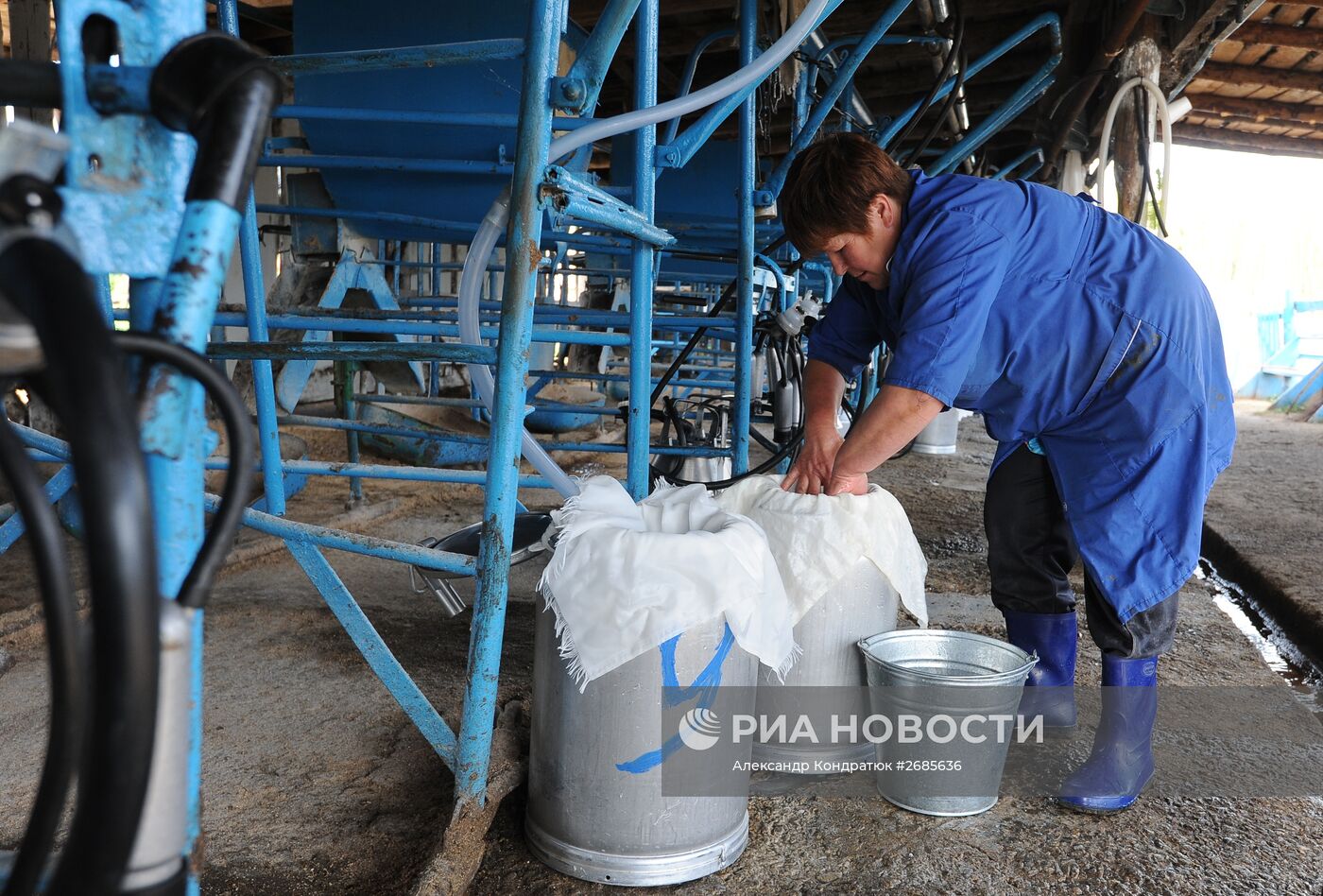 Полевая ферма в Челябинской области