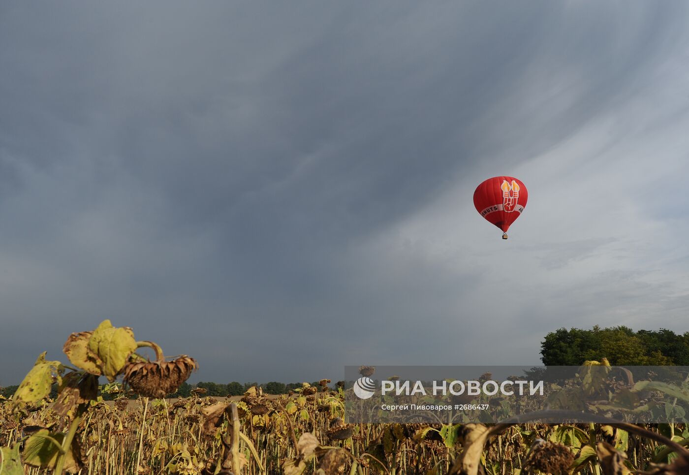 Фестиваль воздухоплавания "Небесная Регата" в Ростовской области
