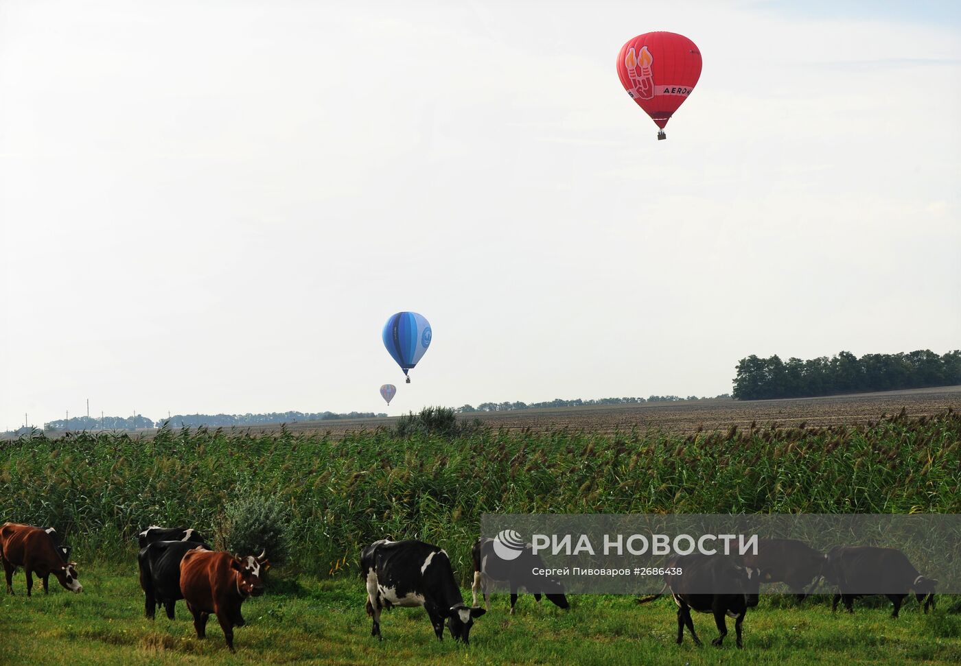 Фестиваль воздухоплавания "Небесная Регата" в Ростовской области