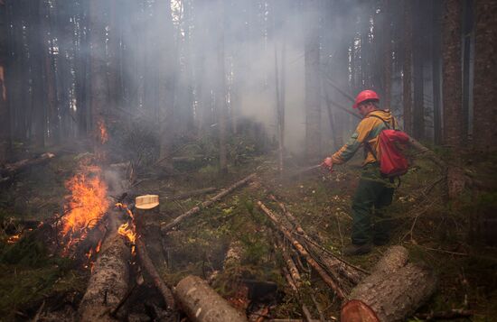 Лесные пожары в Бурятии