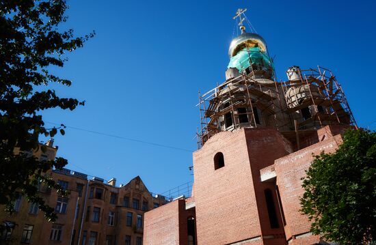Митинг градозащитников в Санкт-Петербурге