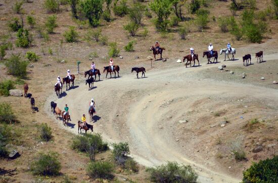 Отдых в Крыму