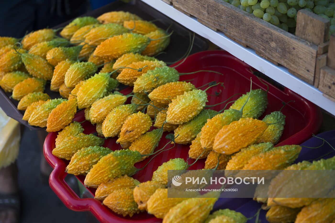 Регионы России. Крым