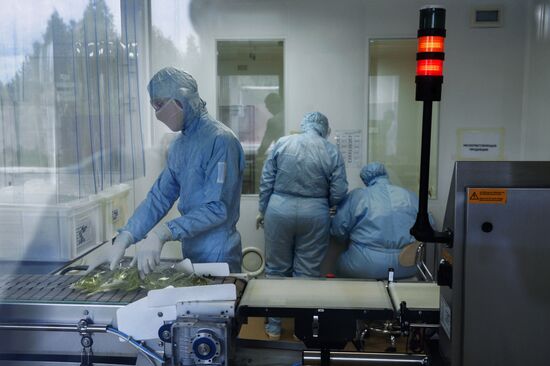 Завод "Медсинтез" в Новоуральске