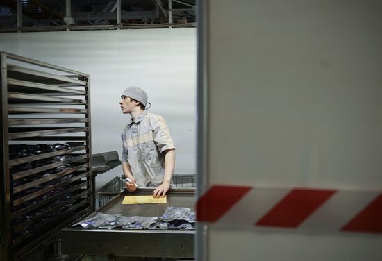 Завод "Медсинтез" в Новоуральске