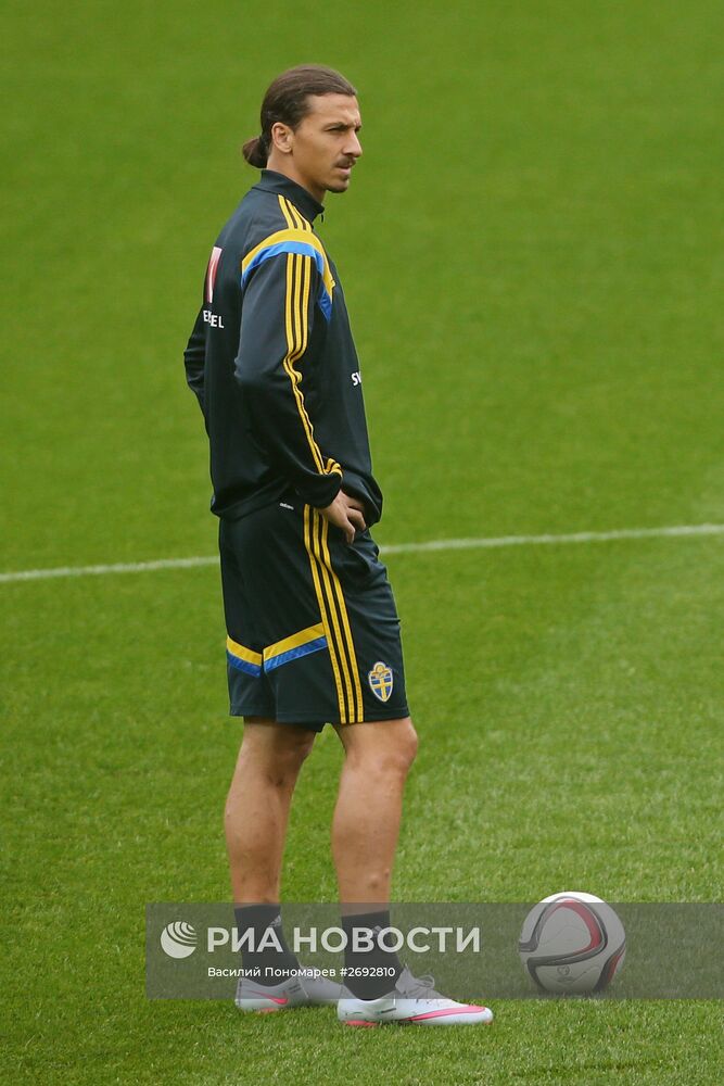 Футбол. Тренировка сборной Швеции