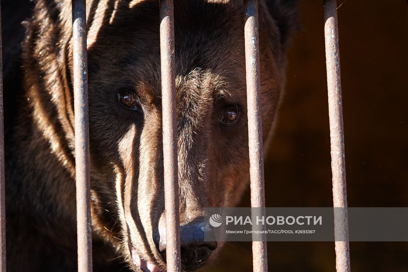 Устранение последствий паводка в Уссурийске