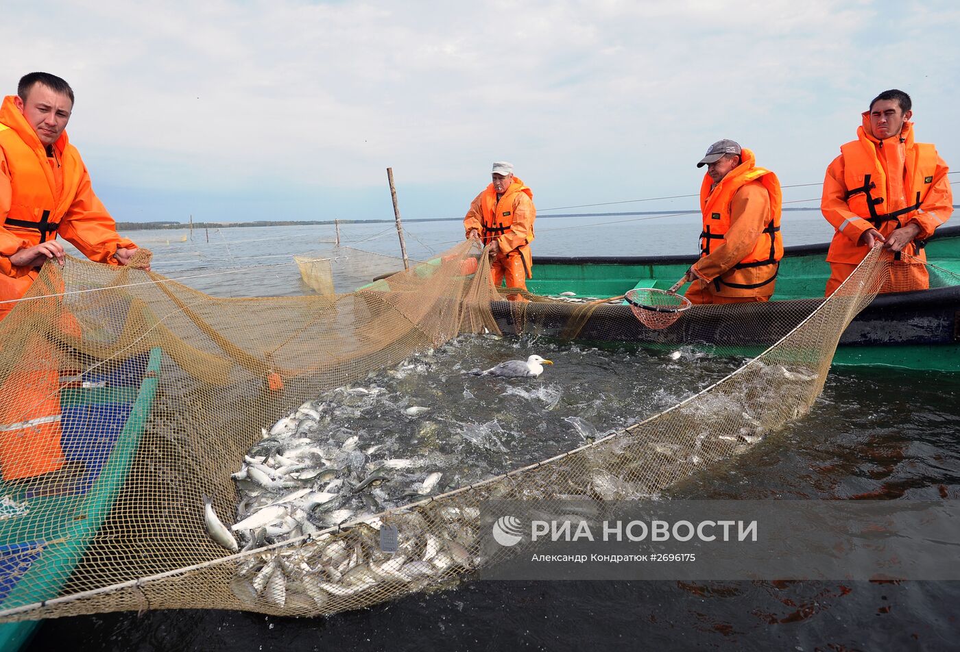 Рыбное хозяйство в Челябинской области