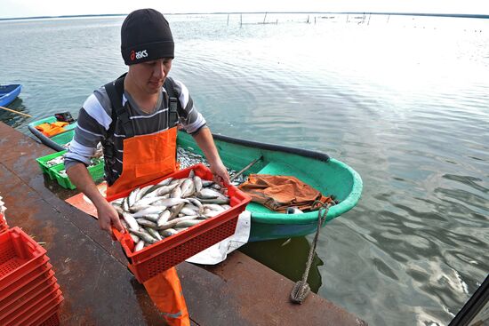 Рыбное хозяйство в Челябинской области