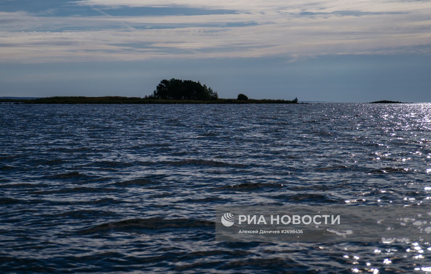 Природный заказник "Березовые острова" на Финском заливе