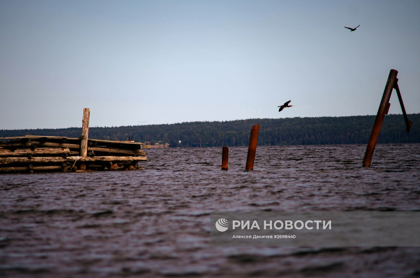 Природный заказник "Березовые острова" на Финском заливе