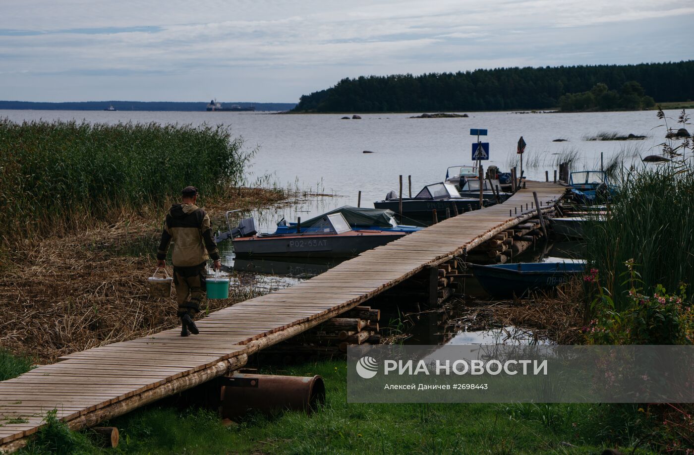 Природный заказник "Березовые острова" на Финском заливе