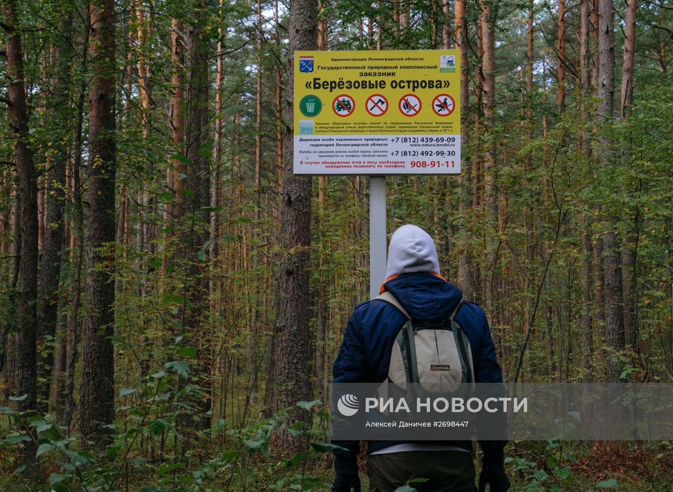 Природный заказник "Березовые острова" на Финском заливе