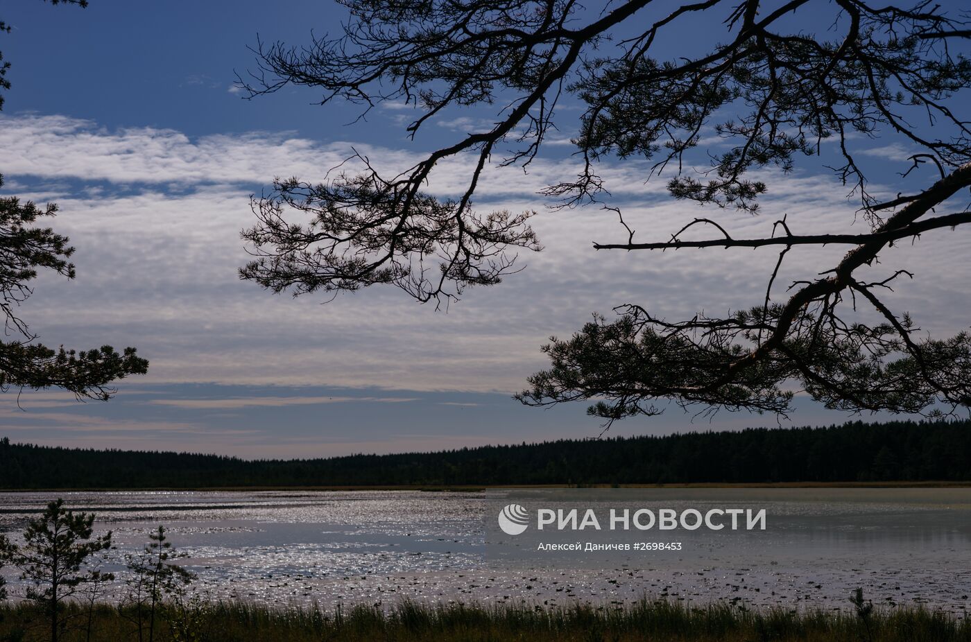 Природный заказник "Березовые острова" на Финском заливе