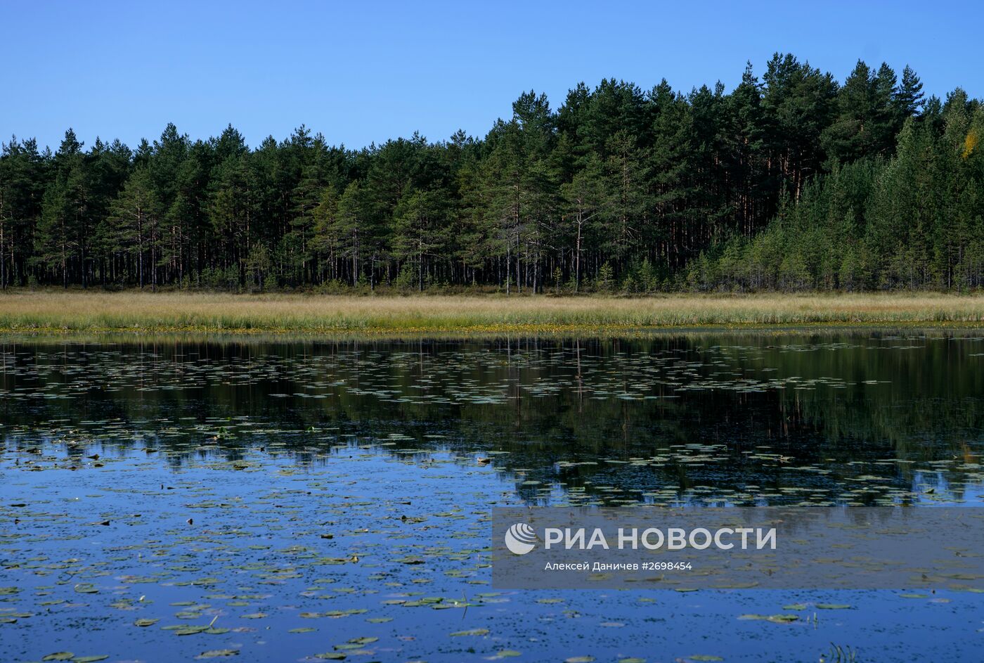 Природный заказник "Березовые острова" на Финском заливе