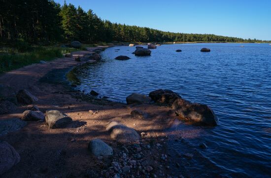 Природный заказник "Березовые острова" на Финском заливе