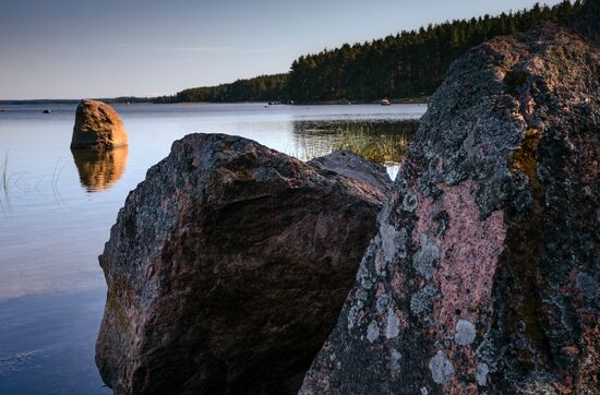 Природный заказник "Березовые острова" на Финском заливе
