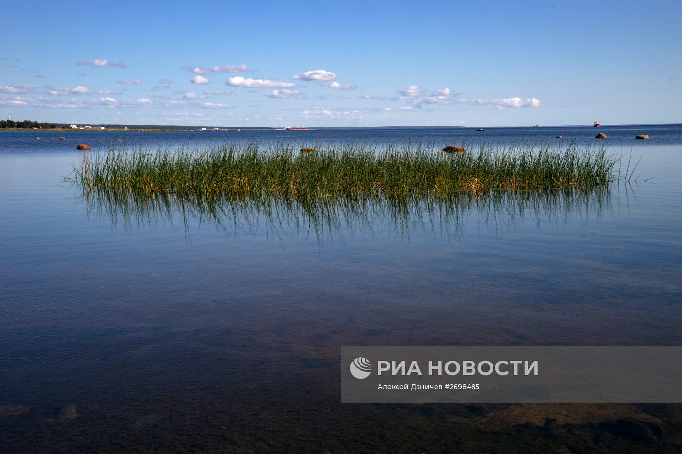 Природный заказник "Березовые острова" на Финском заливе