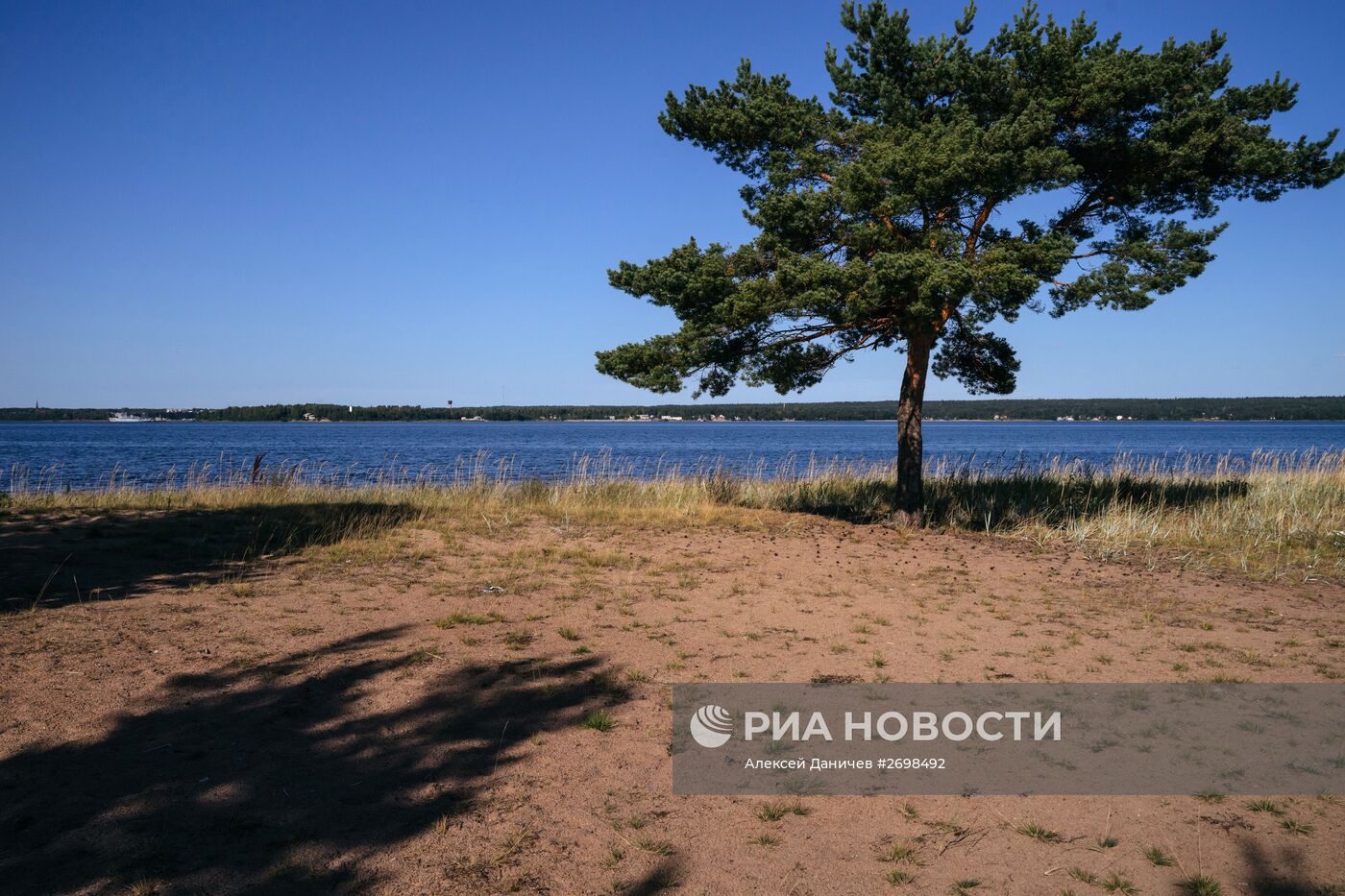 Природный заказник "Березовые острова" на Финском заливе