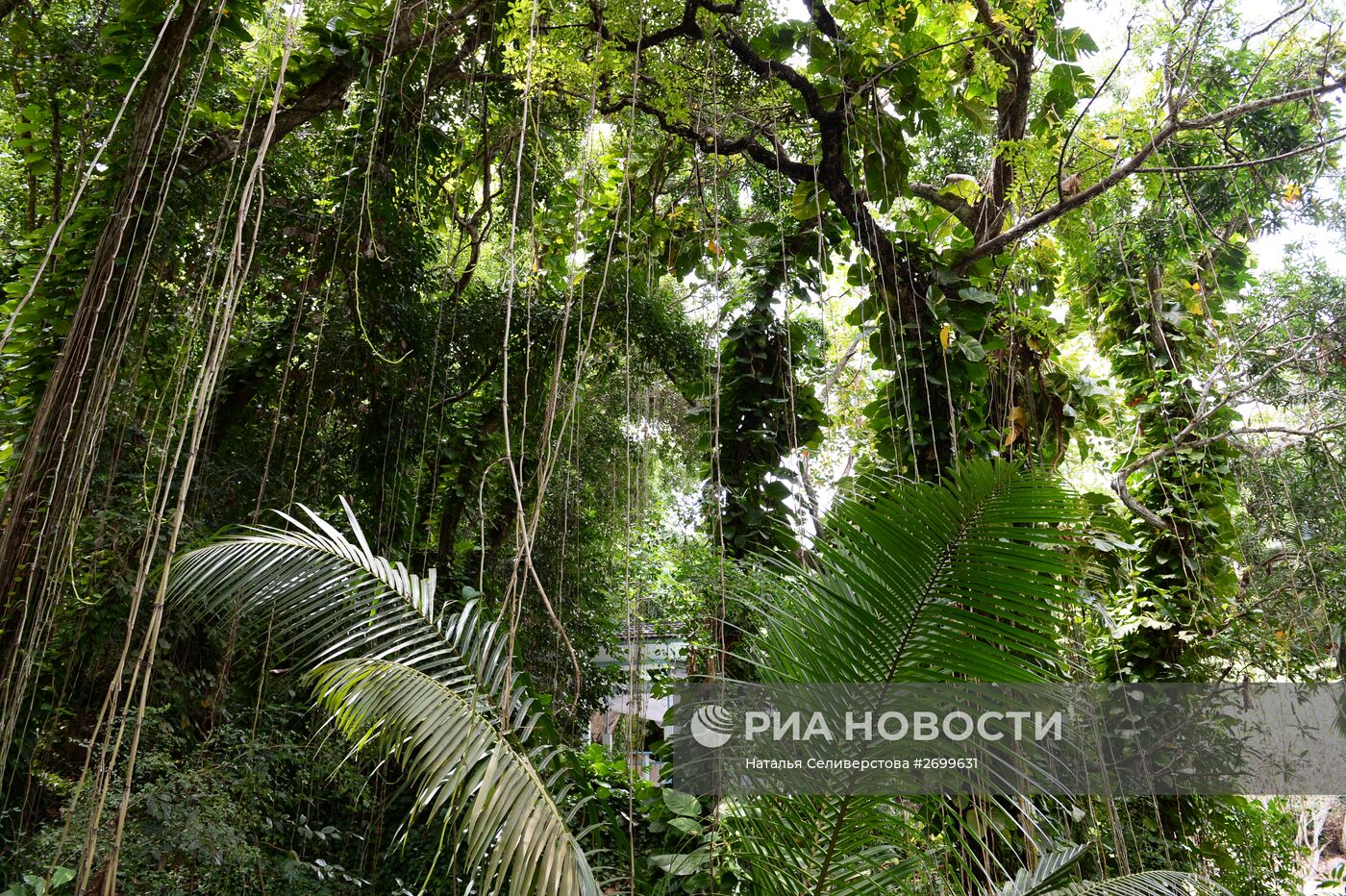 Остров Ла Диг (La Digue)