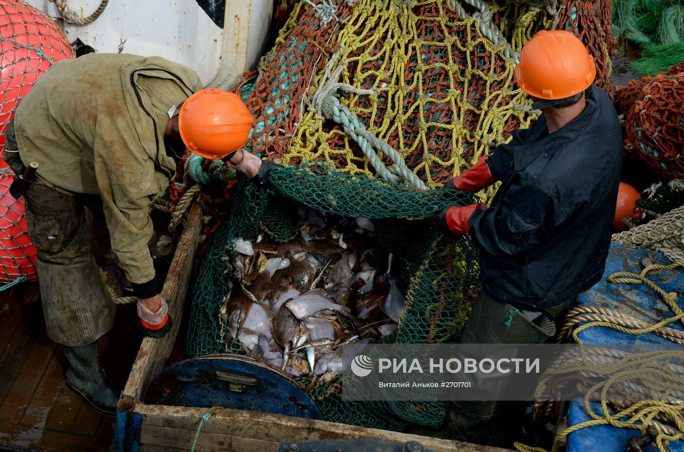 Рыболовная компания "Доброфлот" в Приморском крае