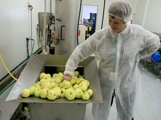 Производство яблочного сока в Калининградской области