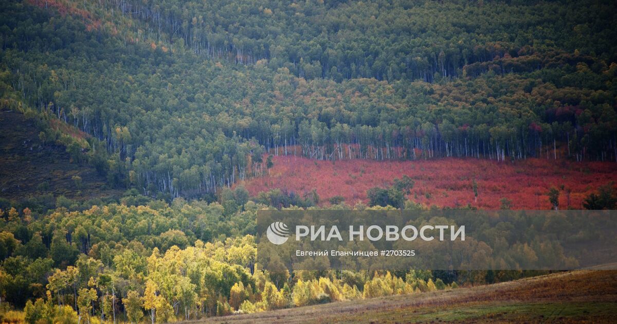 Восток забайкалья