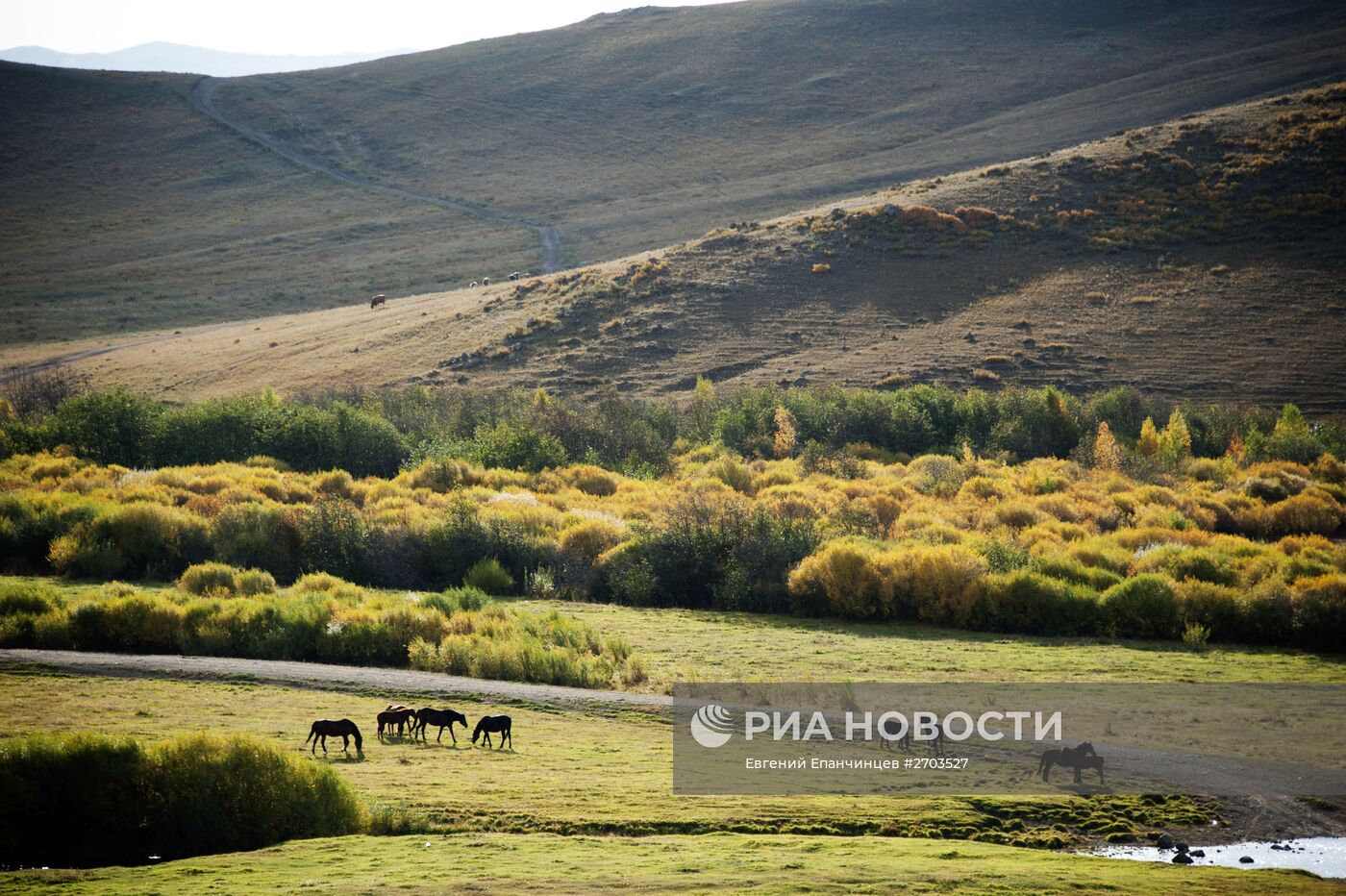 Осень на юго-востоке Забайкальского края