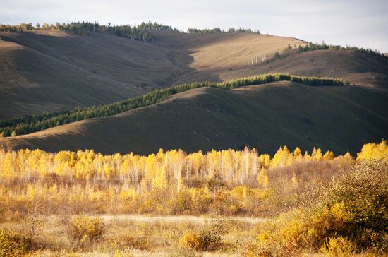 Осень на юго-востоке Забайкальского края
