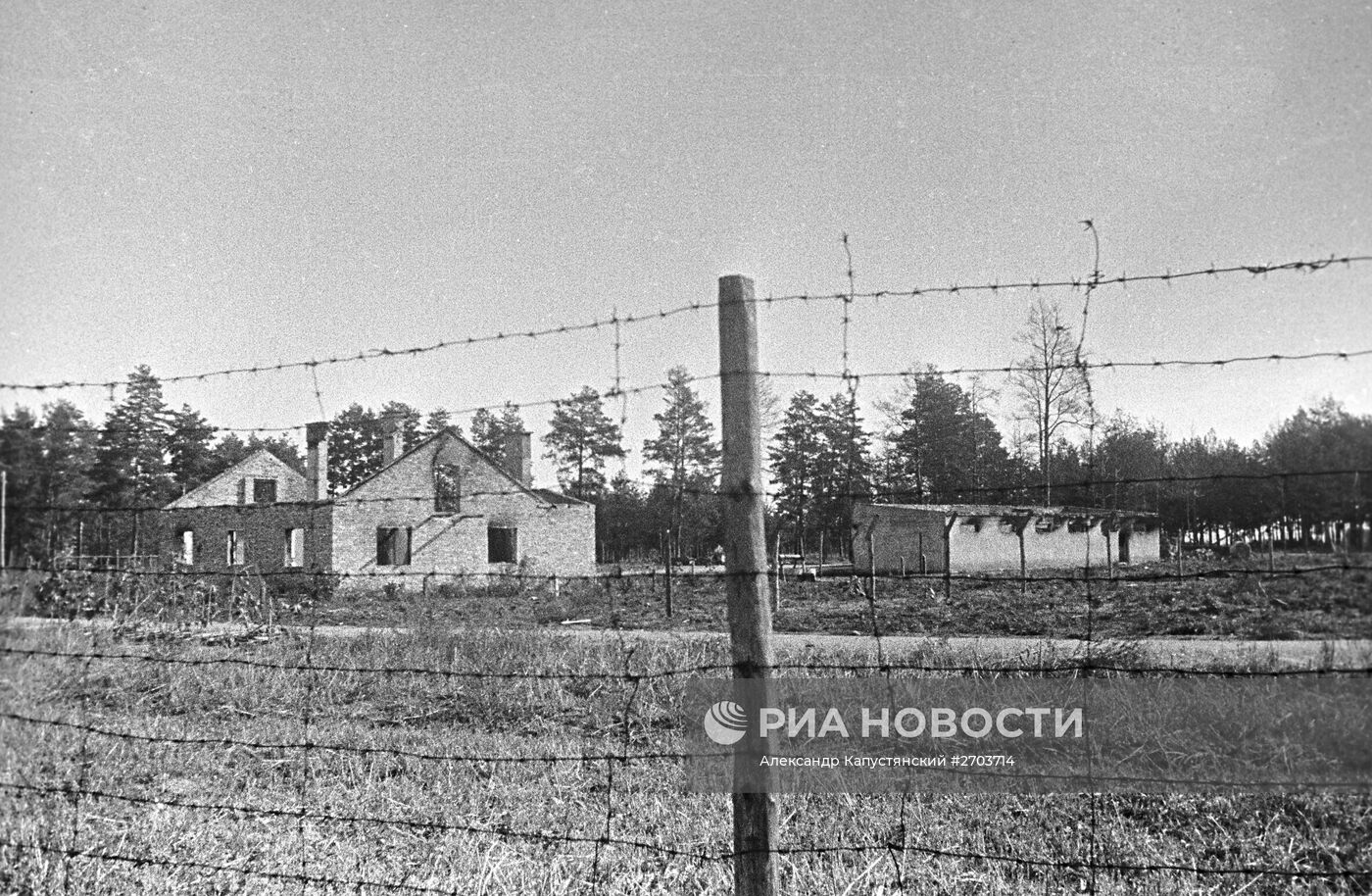 Великая Отечественная война 1941-1945 гг.