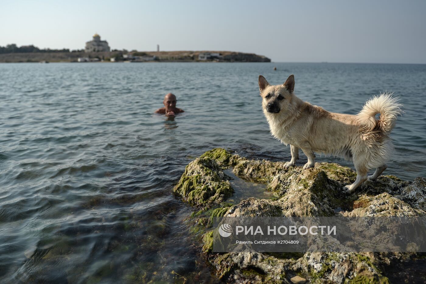 Города России. Севастополь