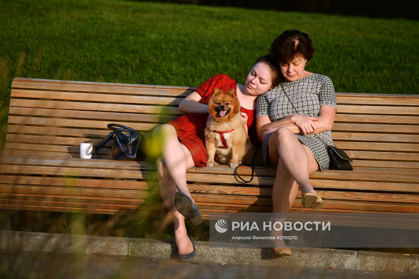 Теплая погода в Москве