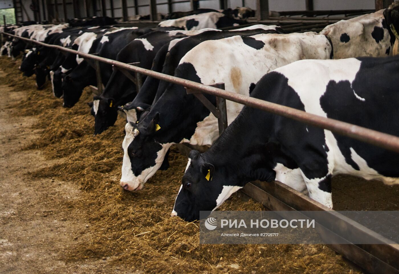 Завод "Приневское" в Ленинградской области