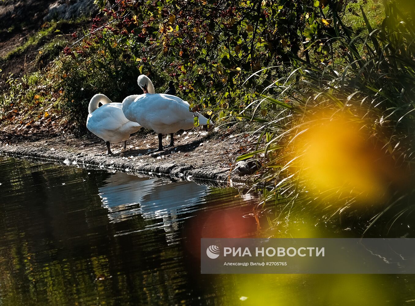 Теплая погода в Москве