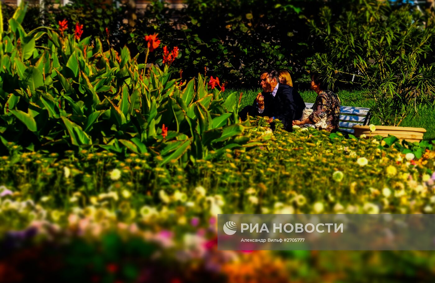 Теплая погода в Москве