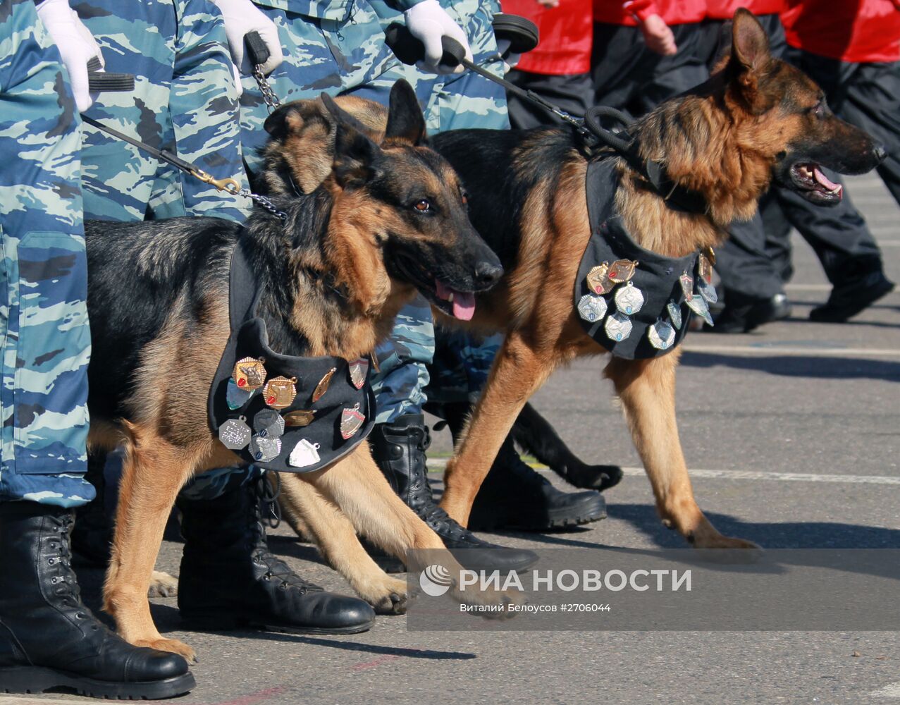 Спортивный праздник полиции Москвы