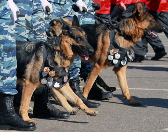 Спортивный праздник полиции Москвы