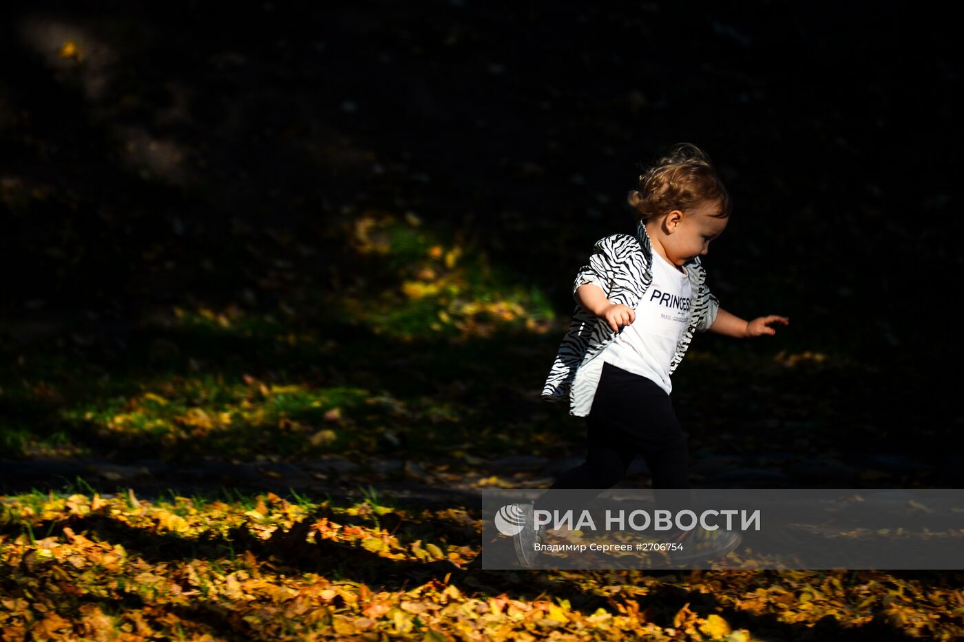 Теплая погода в Москве