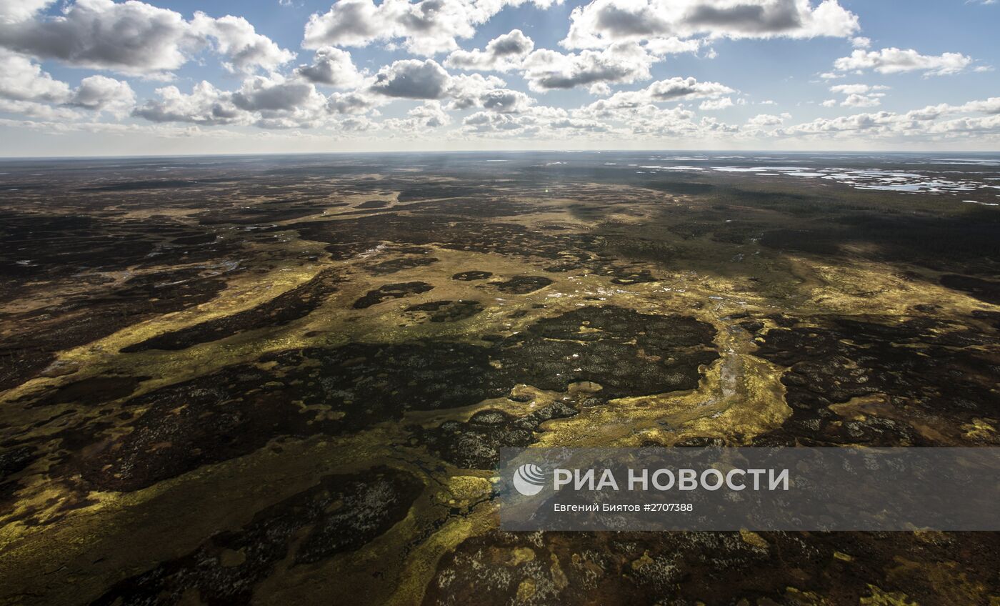 Регионы России. Ямало-Ненецкий автономный округ