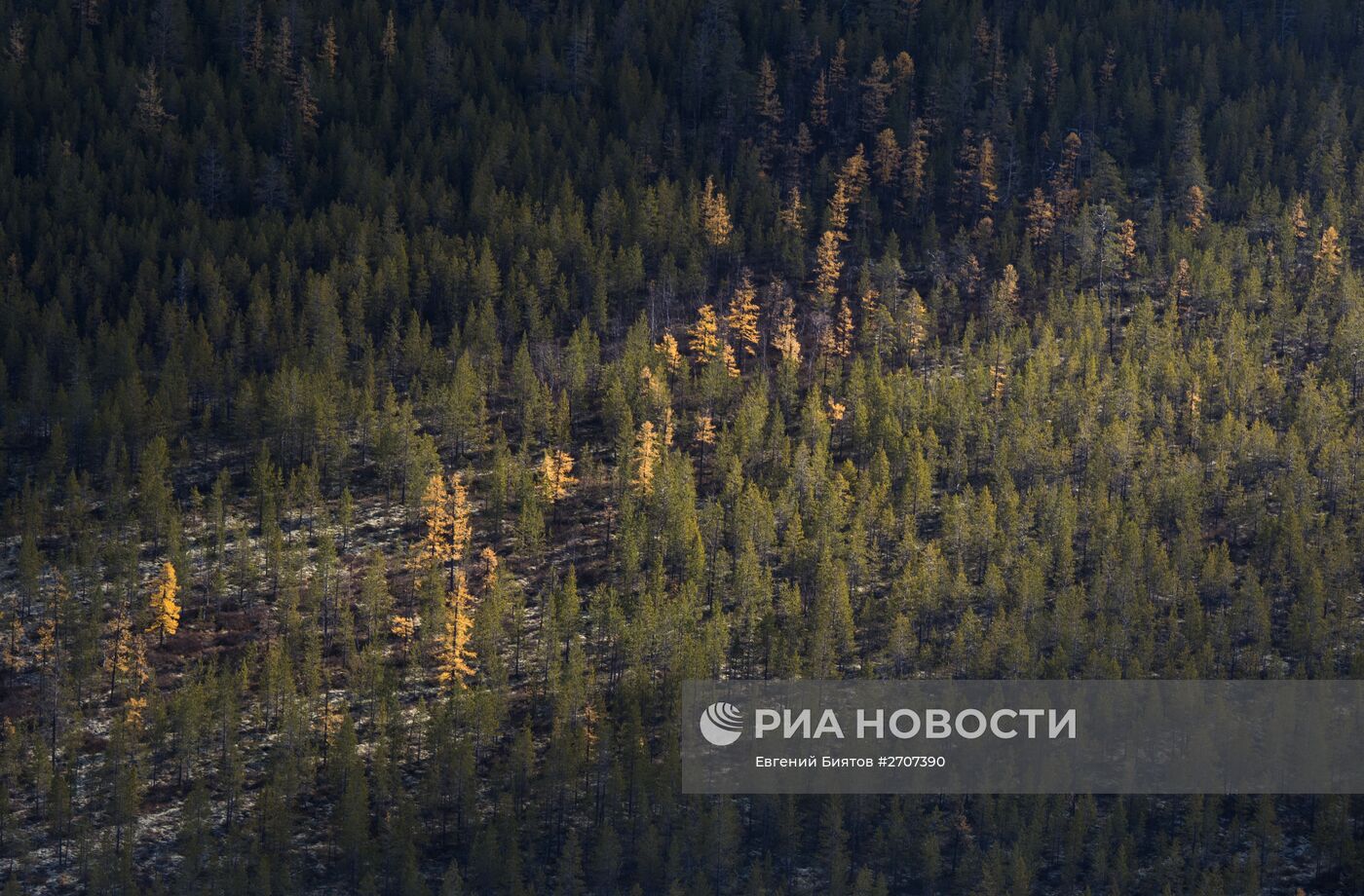 Регионы России. Ямало-Ненецкий автономный округ