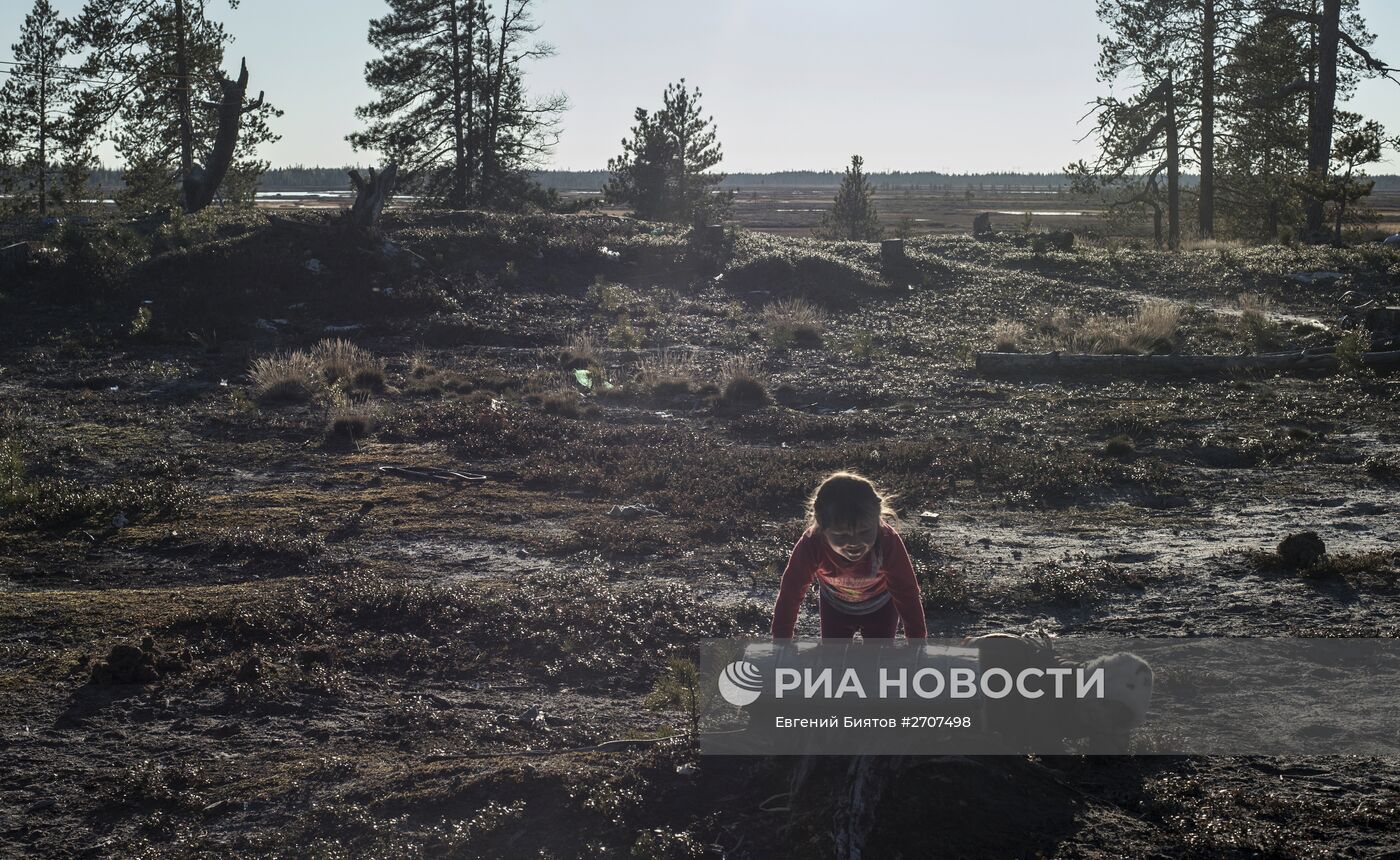 Стойбище родовой общины "Дянки-Кой"