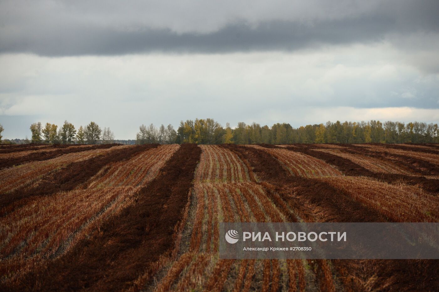 Осень в Сибири