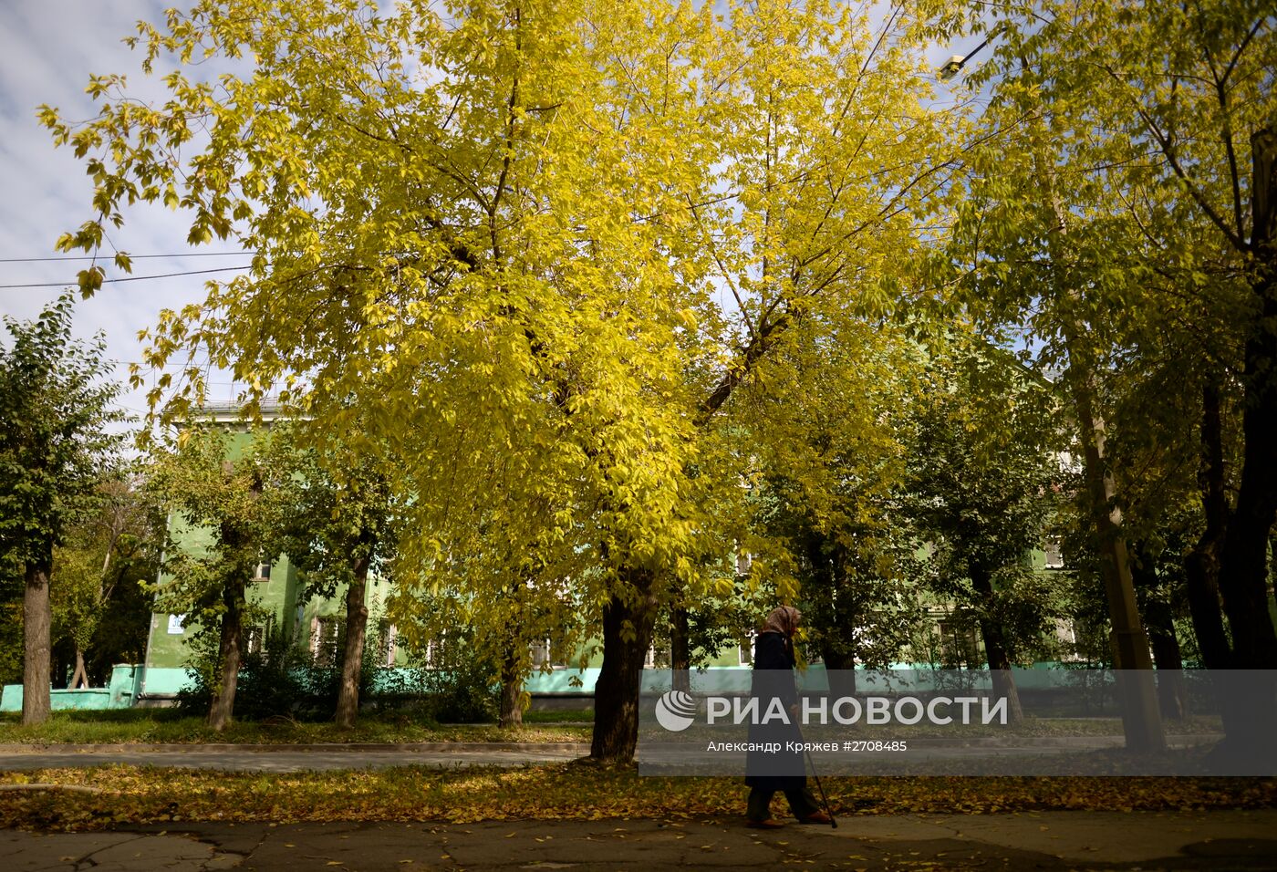 Осень в Сибири