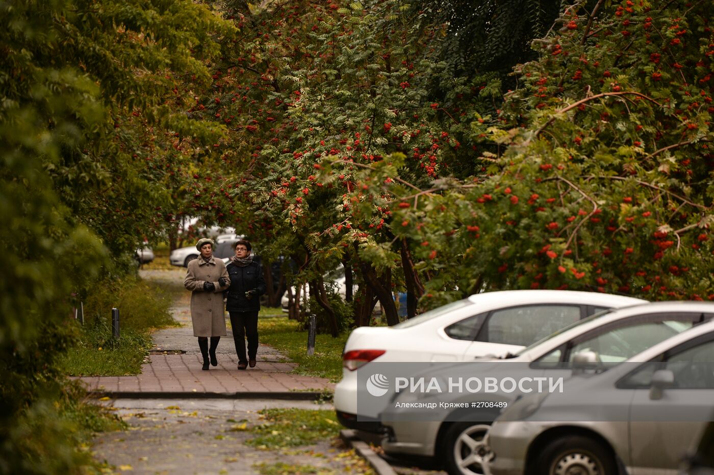 Осень в Сибири