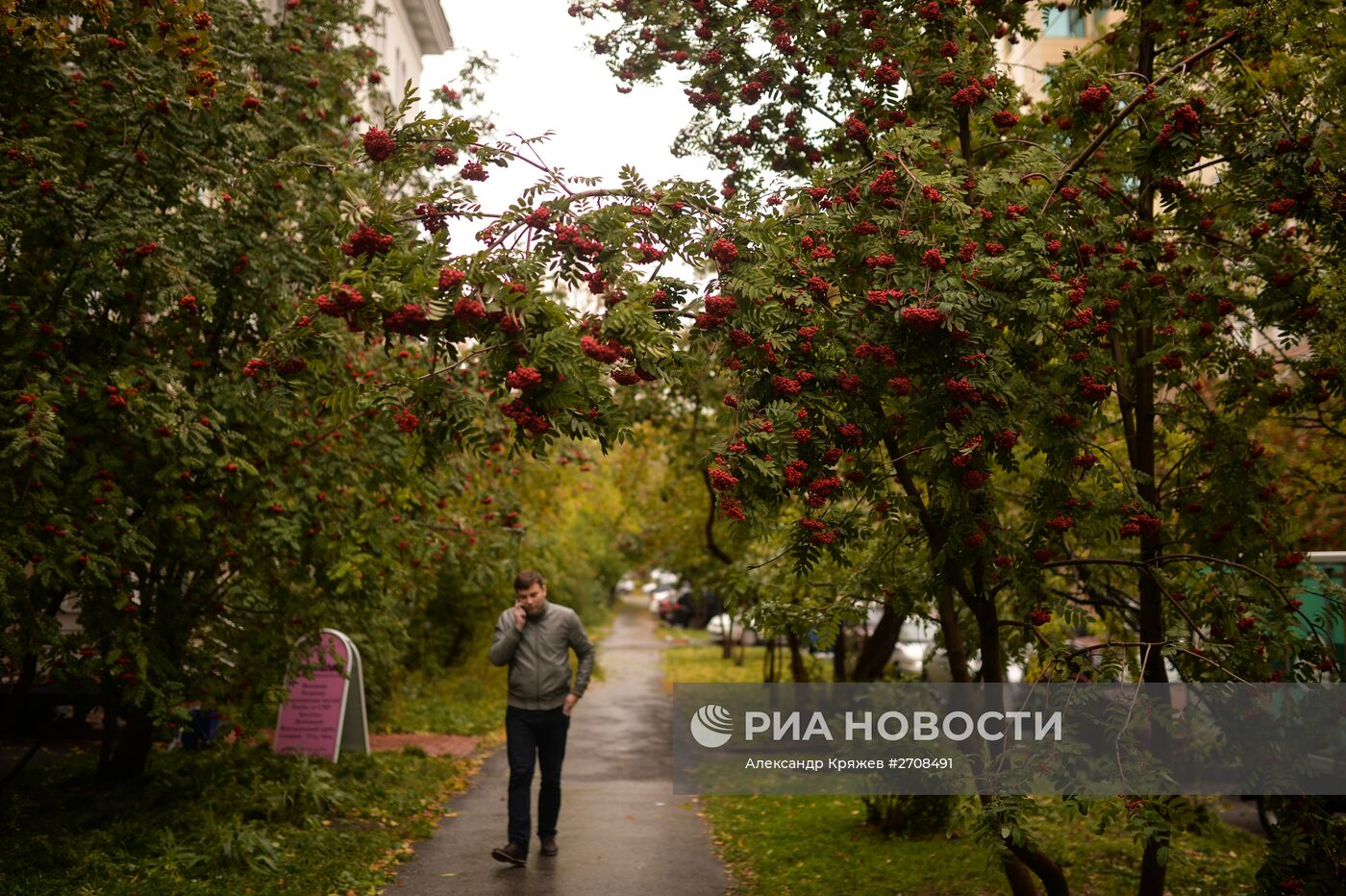 Осень в Сибири